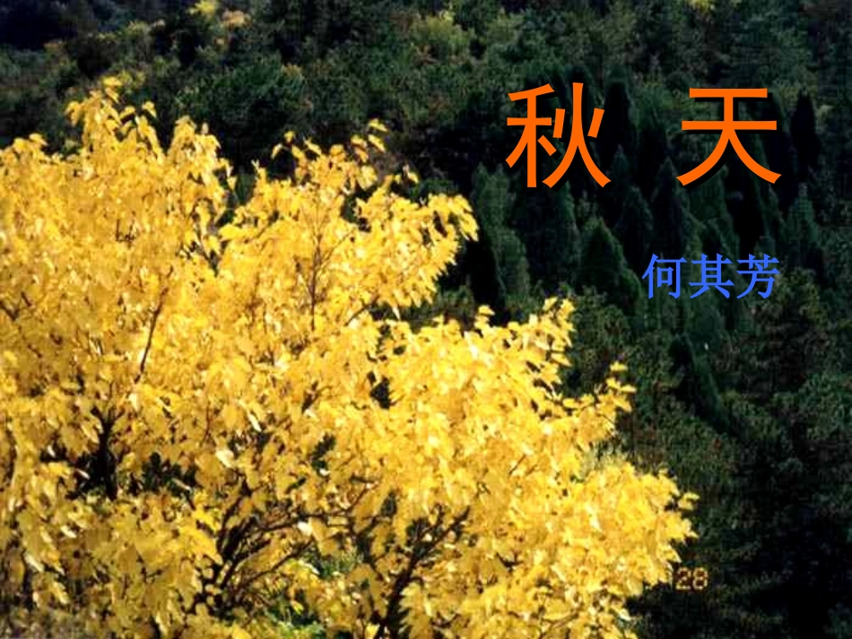 人教版语文七上《秋天》课件5_第2页