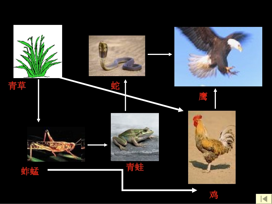 错综复杂的食物_第2页