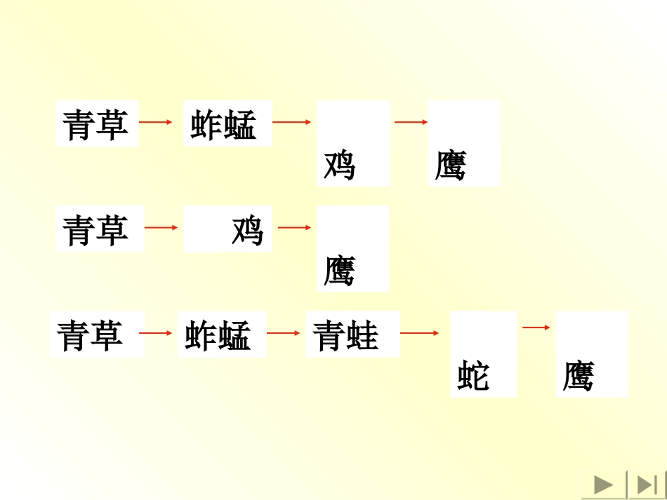 错综复杂的食物_第3页