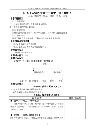 人体的支架骨骼第课时教师版