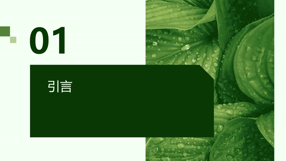 确保高边坡防护工程的质量和进度(讲稿)课件_第3页