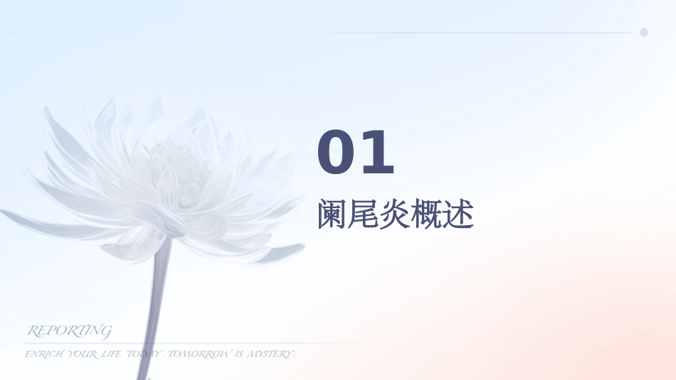 阑尾炎与疑似阑尾炎病变(影像表现)课件_第3页