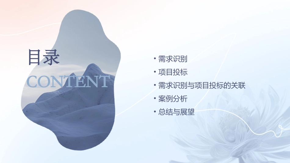 需求识别与项目投标课件_第2页