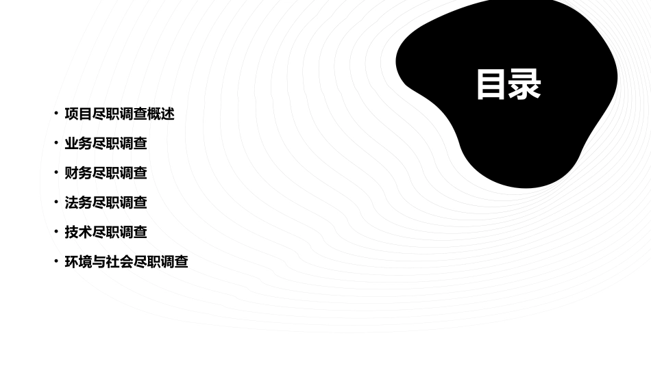 项目尽职调查分析课件_第2页