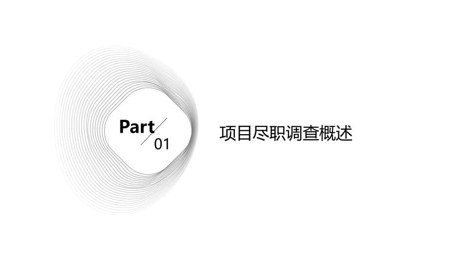 项目尽职调查分析课件_第3页