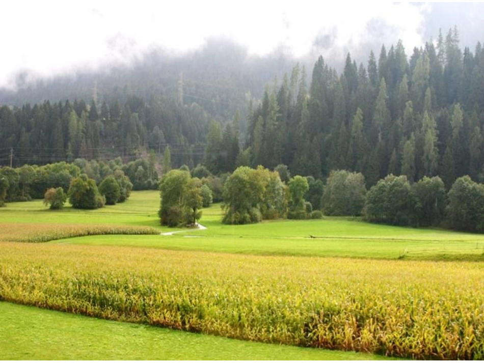 《快乐的铁匠》PPT_第2页