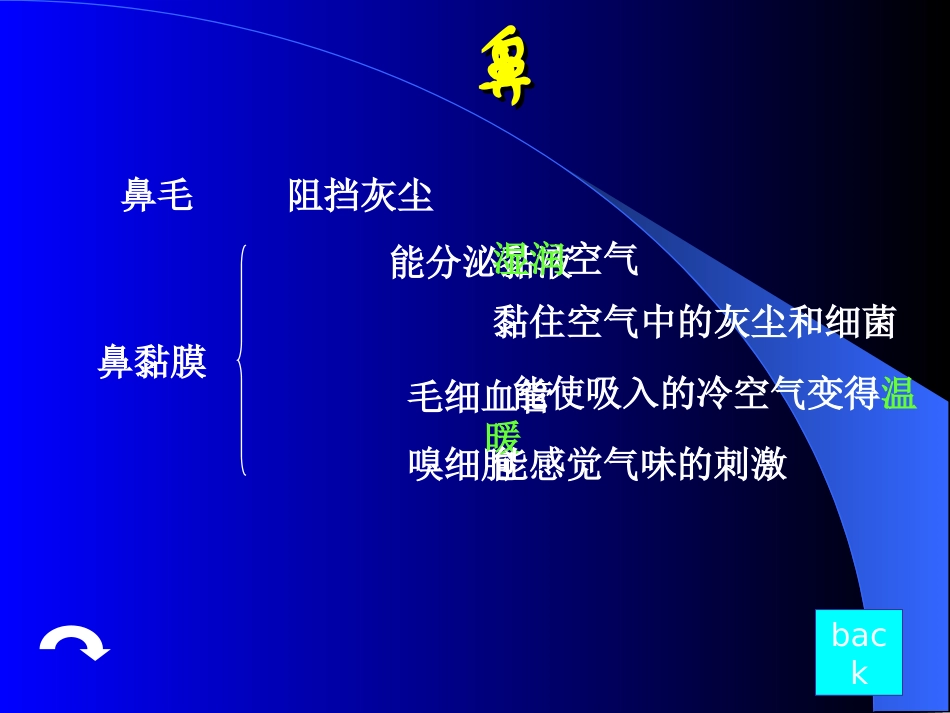 人体的呼吸课件_第3页