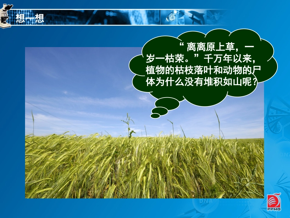 认识细菌和放线菌-教学课件_第2页