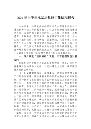 2024年上半年抓基层党建工作情况报告