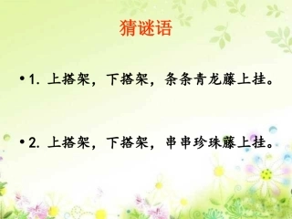 爬山虎的脚__第一课时