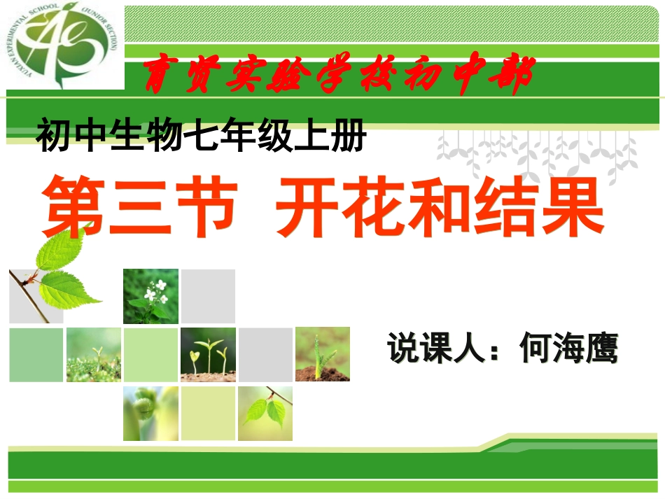 开花和结果说课_第1页