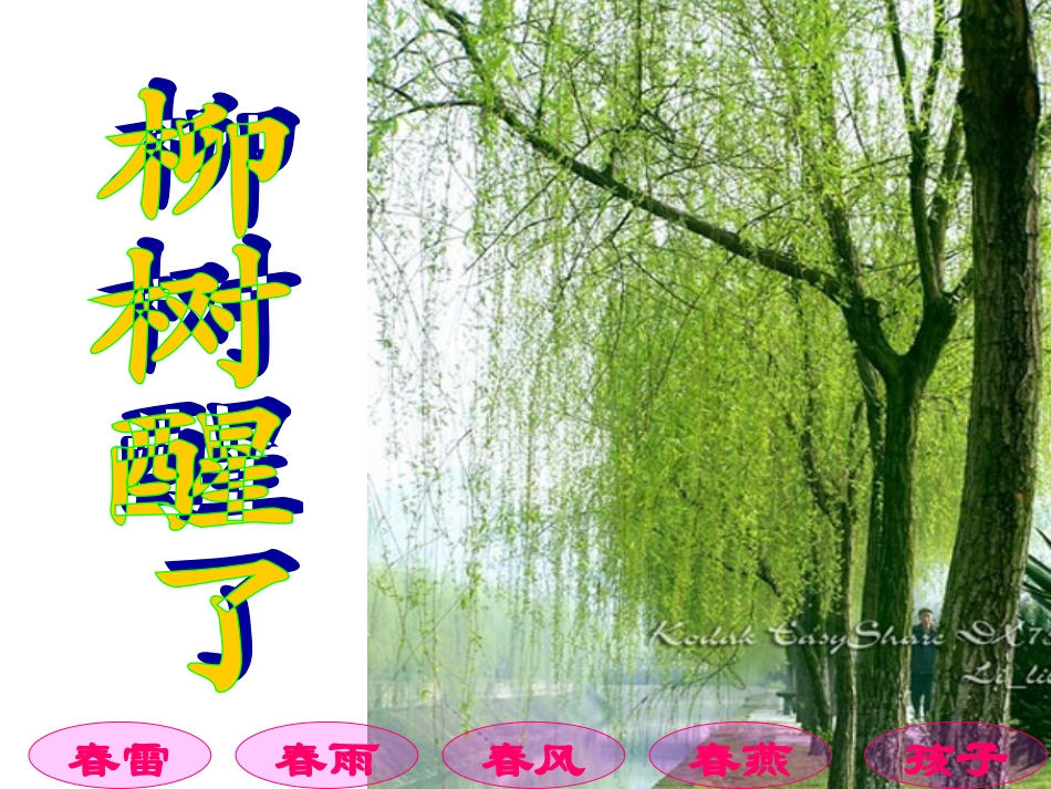 人教版第二册《柳树醒了》课件_第1页