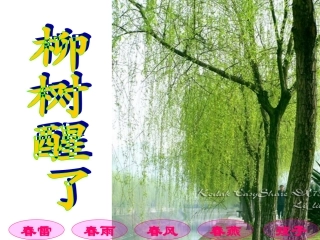 人教版第二册《柳树醒了》课件