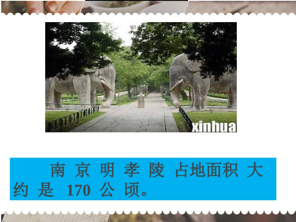 苏教版数学五年级上册《认识公顷》课件_第3页