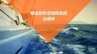 螨虫的形态结构及防治课件