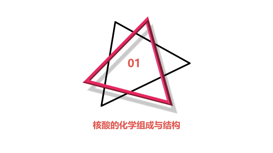 王镜岩生物化学经典课件核酸化学_第3页