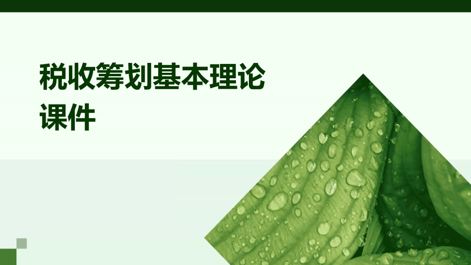 税收筹划基本理论课件_第1页