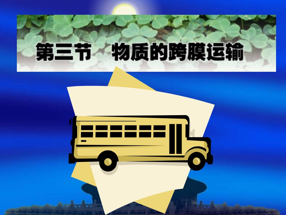 物质跨膜运输的方式３６_第2页