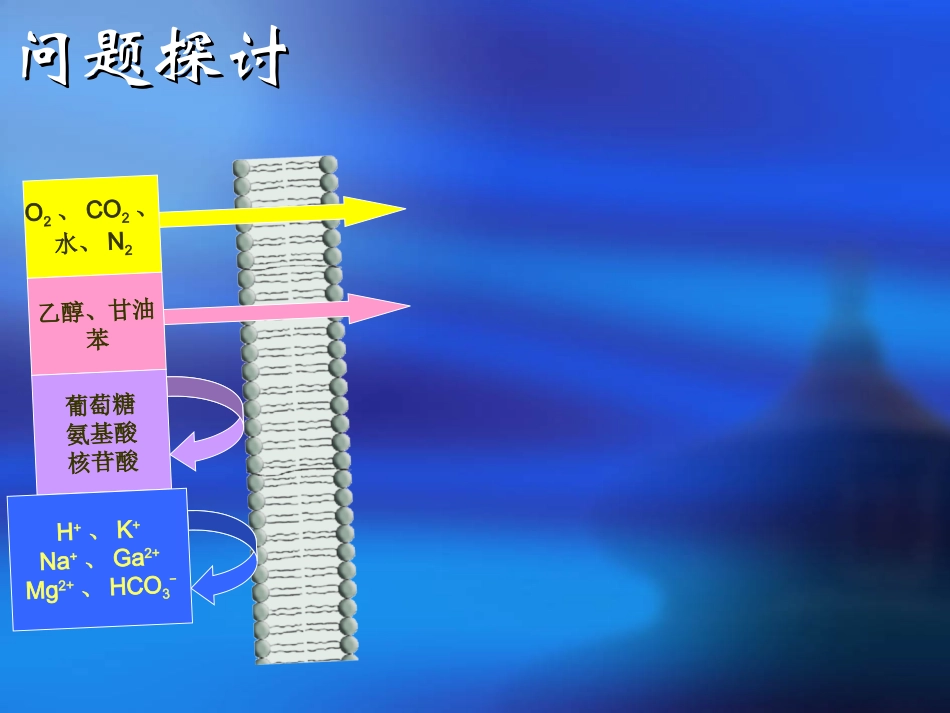 物质跨膜运输的方式３６_第3页