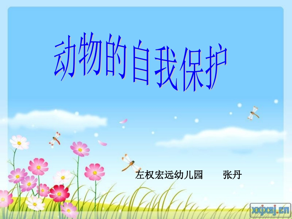 幼儿园课件：动物的自我保护_第1页