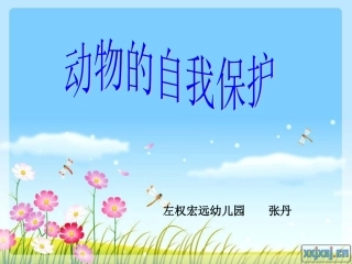 幼儿园课件：动物的自我保护