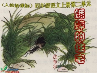 新课标人教版四年级语文上册《蟋蟀的住宅》PPT课件