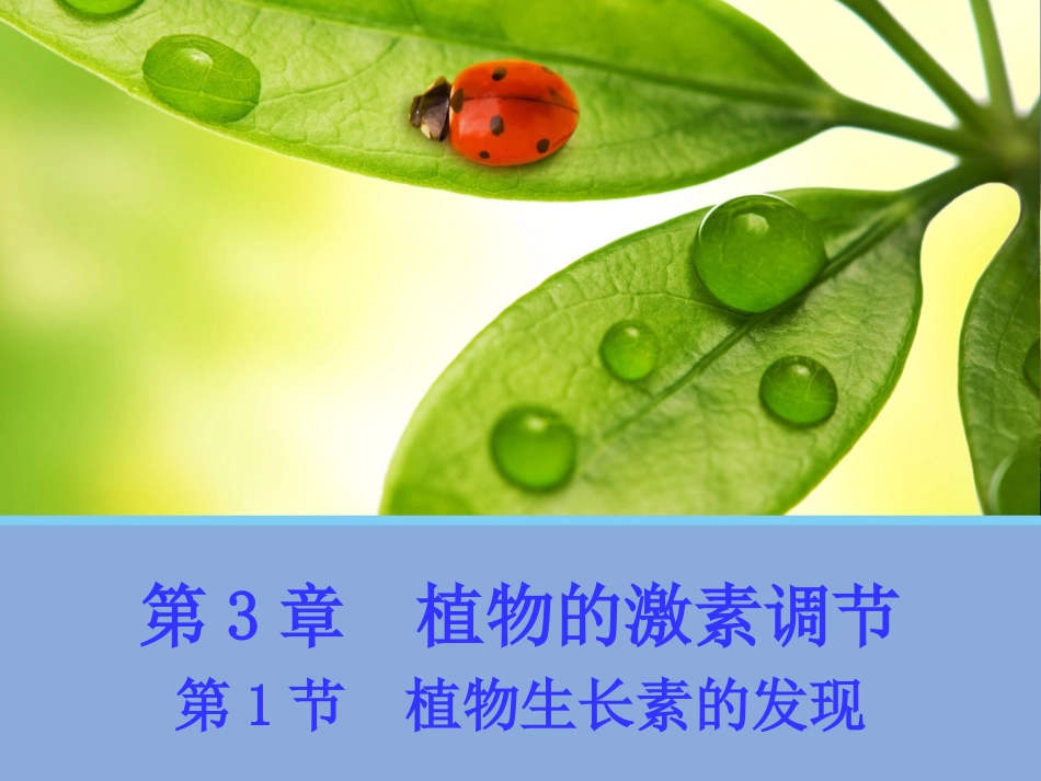 植物生长素的发现课件人教版必修_第1页