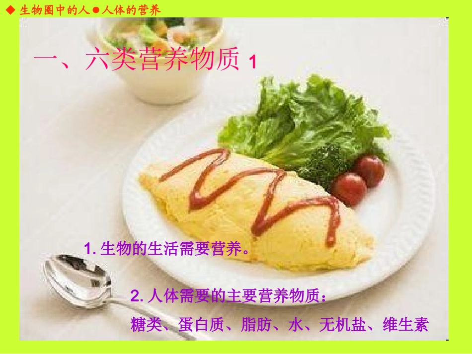 人体的营养九年级复习课_第2页