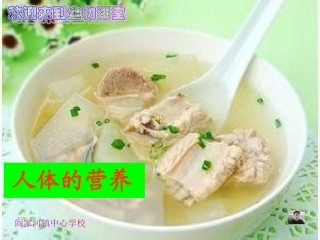 人体的营养九年级复习课