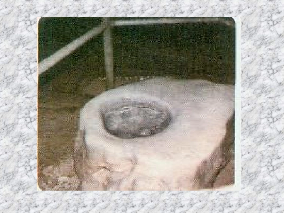 五年级语文上册第六组4滴水穿石的启示第二课时课件_第3页