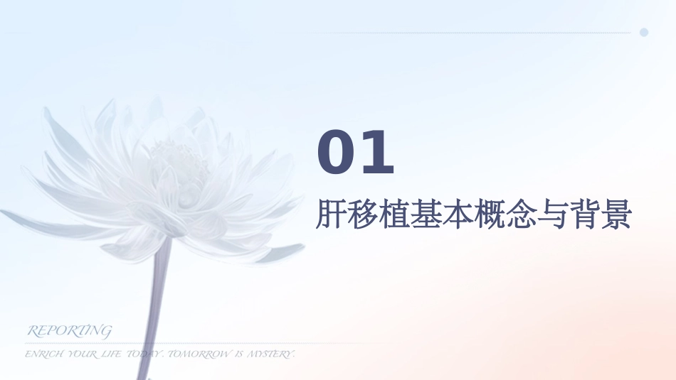 肝移植患者护理查房课件_第3页
