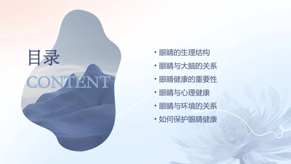眼睛划过的痕迹课件_第2页