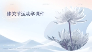 膝关节运动学课件