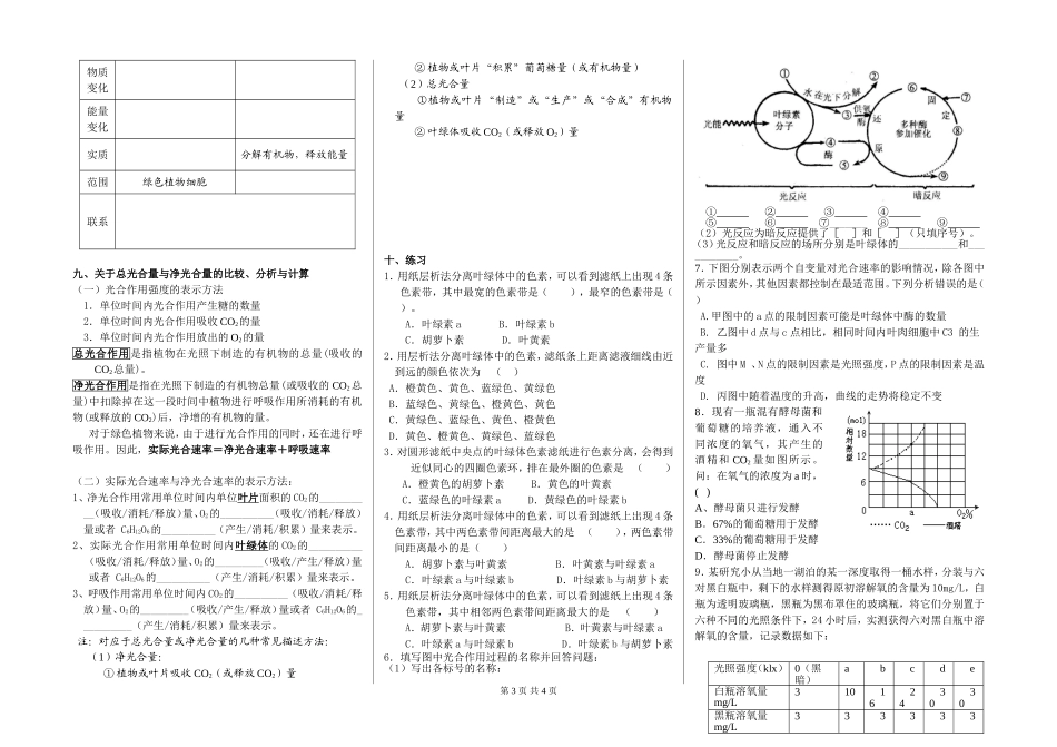 光合作用导学案_第3页