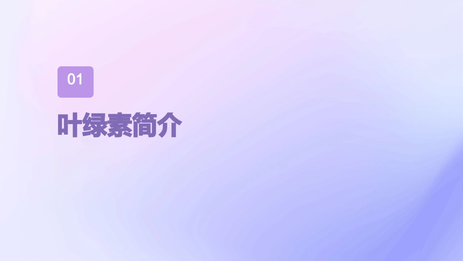 现象叶绿素的提取液课件_第3页