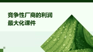 竞争性厂商的利润最大化课件