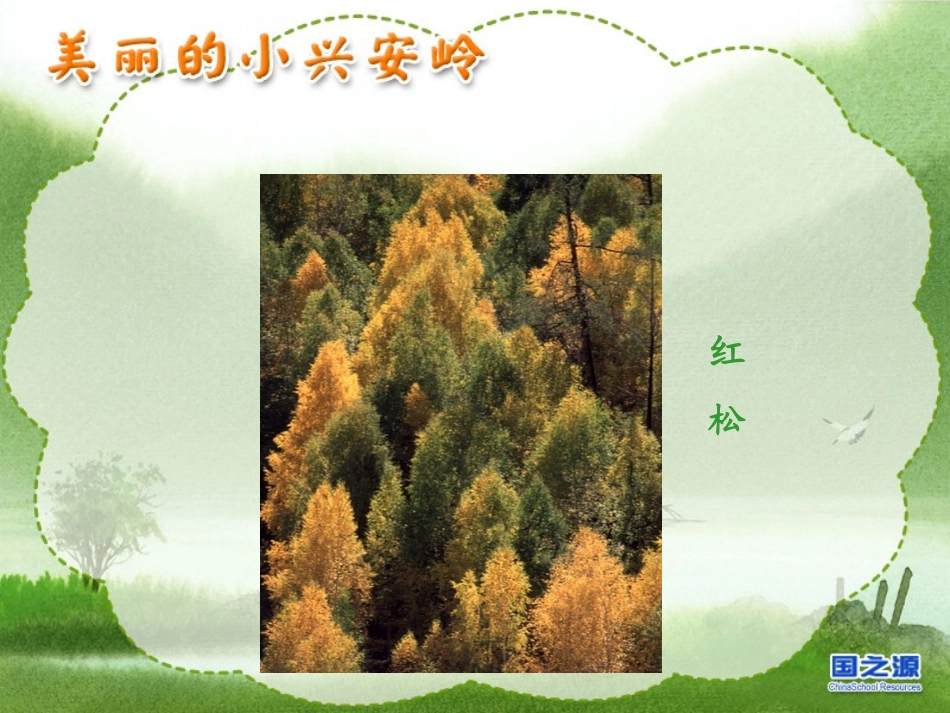 美丽的小兴安岭课件(新课标人教版三年级上册语文课件)_第3页