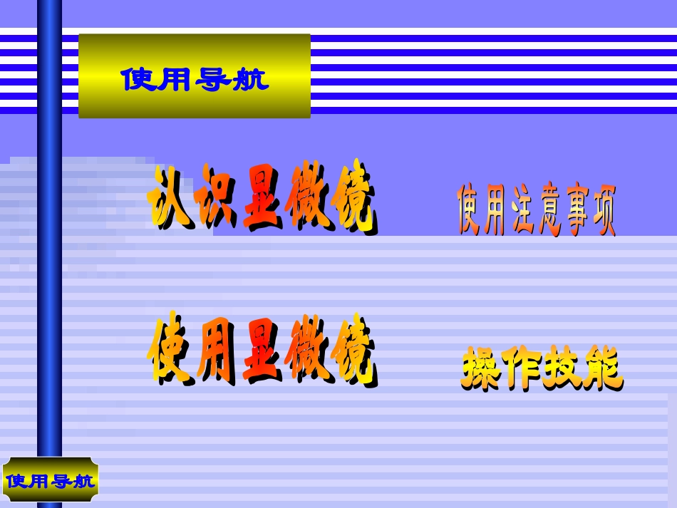 显微镜的使用与结构_临时装片的制作_第2页