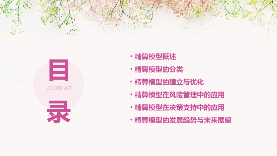 精算模型分析课件_第2页