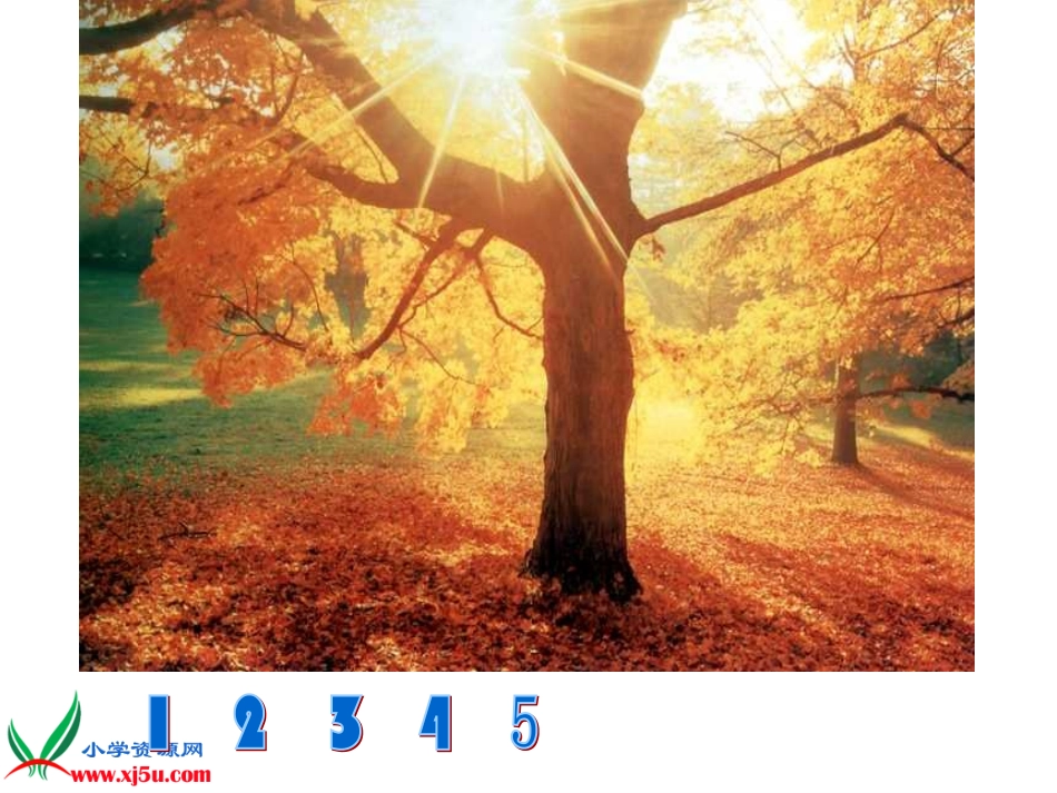 (长春版)三年级语文上册课件_我们去听秋的声音_2_第3页