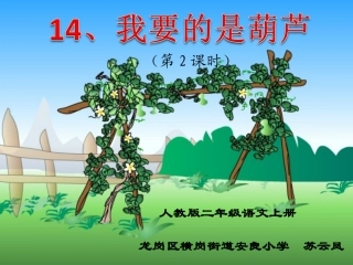 我要的是葫芦--苏云凤