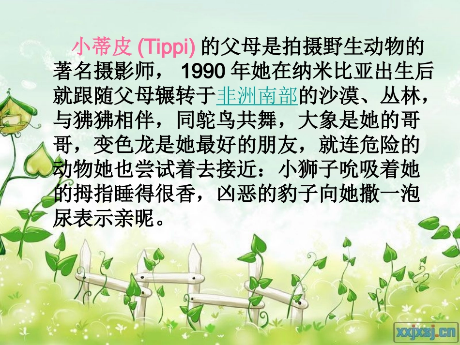 野生动物朋友_第2页