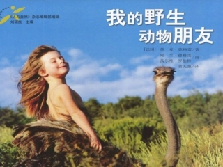 野生动物朋友