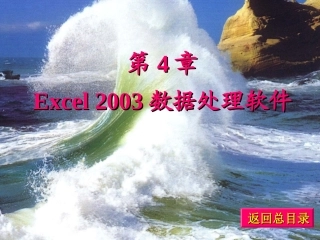 第4章Excel2003数据处理软件