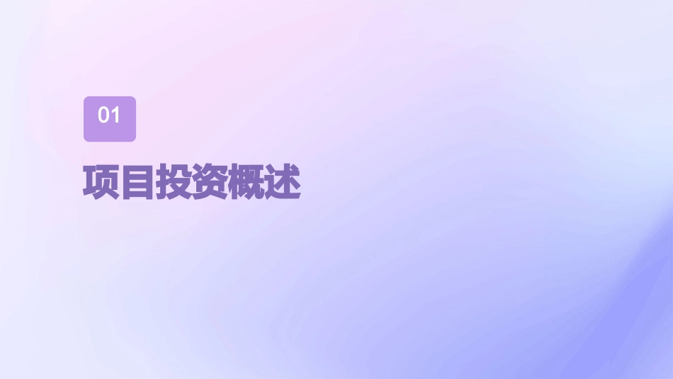 项目投资分析报告课件_第3页
