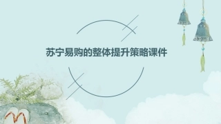苏宁易购的整体提升策略课件