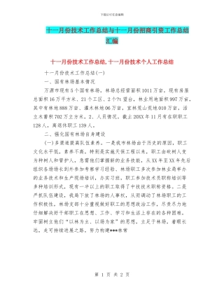 十一月份技术工作总结与十一月份招商引资工作总结汇编