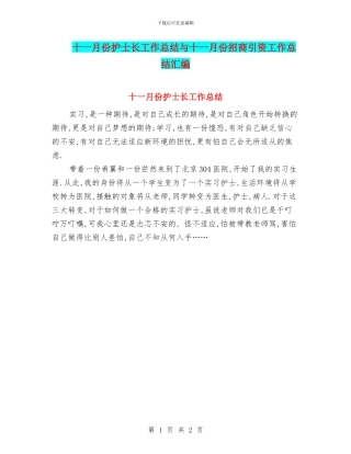 十一月份护士长工作总结与十一月份招商引资工作总结汇编