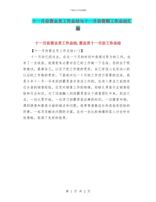 十一月份营业员工作总结与十一月份营销工作总结汇编