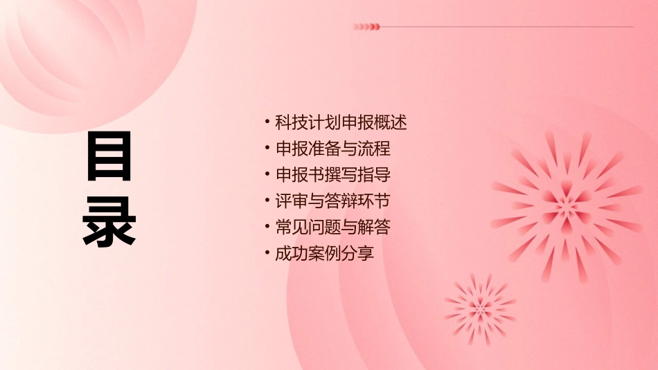 科技计划申报辅导会课件_第2页